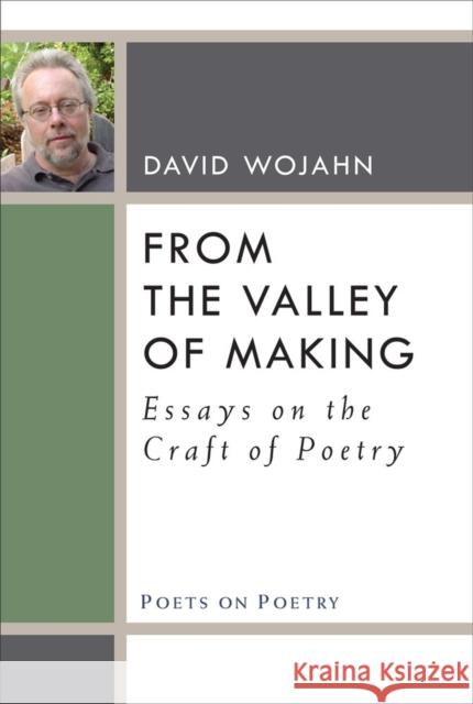 From the Valley of Making: Essays on the Craft of Poetry David Wojahn 9780472072507 University of Michigan Press