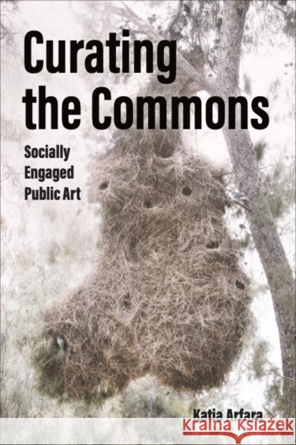 Curating the Commons: Socially Engaged Public Art Katia Arfara 9780472077793 University of Michigan Press