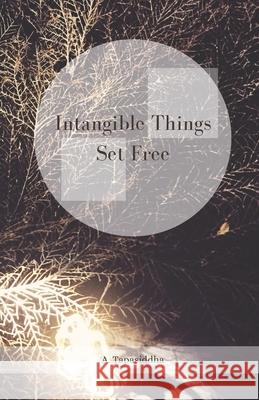 Intangible Things Set Free Ananda Tapasiddha Francisco Guerra  9780473498047