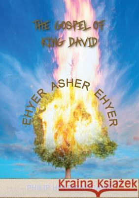 The Gospel of King David Philip Holdaway-Davis 9780473532086