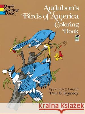 Audubon's Birds of America Coloring Book Paul E. Kennedy Audubon 9780486230498 