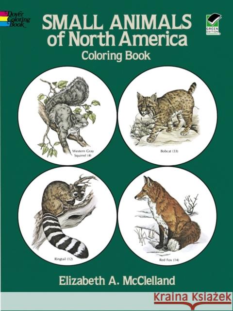 Small Animals of North America Coloring Book Elizabeth McClelland 9780486242170 