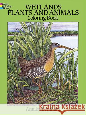 Wetlands Plants and Animals Coloring Book Bernhard, Annika 9780486277493 Dover Publications