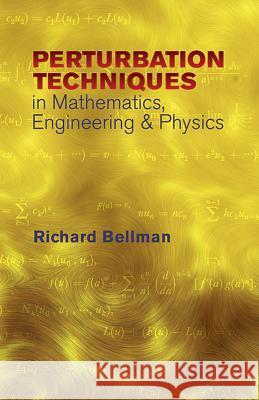 Perturbation Techniques in Mathematics Richard Bellman 9780486432588