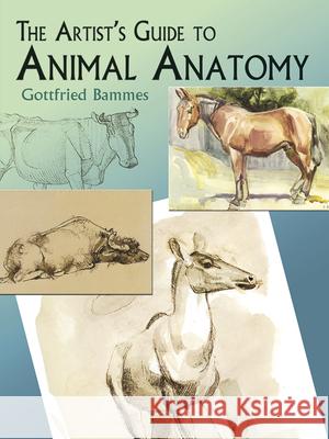 The Artist's Guide to Animal Anatomy Gottfried Bammes 9780486436401 Dover Publications