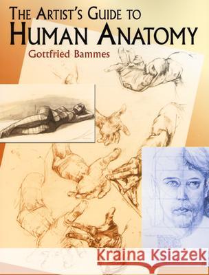 The Artist's Guide to Human Anatomy Gottfried Bammes 9780486436418 Dover Publications