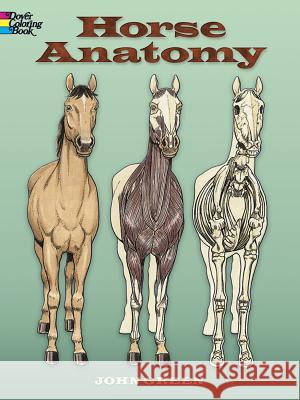 Horse Anatomy Coloring Book John Green 9780486448138 0