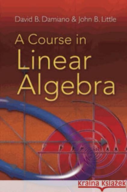 A Course in Linear Algebra David B. Damiano John B. Little 9780486469089 Dover Publications