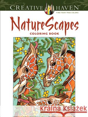 NatureScapes Patricia J. Wynne 9780486494500 Dover Publications
