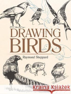 Drawing Birds Raymond Sheppard 9780486820323 Dover Publications Inc.