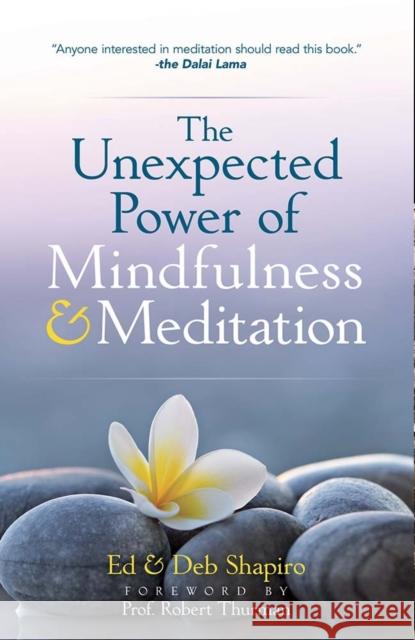 The Unexpected Power of Mindfulness and Meditation Ed Shapiro Debbie Shapiro 9780486831824