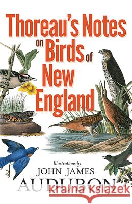 Thoreau's Notes on Birds of New England Henry David Thoreau Francis H. Allen 9780486833842 Dover Publications