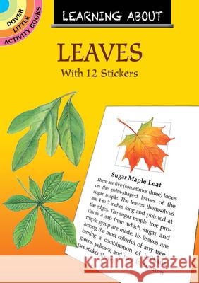 Learning About Leaves: With 12 Stickers Dot Barlowe 9780486837130 Dover Publications