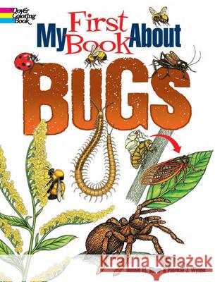 My First Book about Bugs Wynne, Patricia J. 9780486850283 Dover Publications Inc.