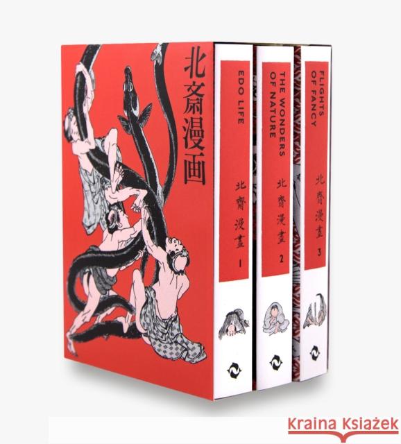 Hokusai Manga Hokusai   9780500294611 Thames & Hudson Ltd