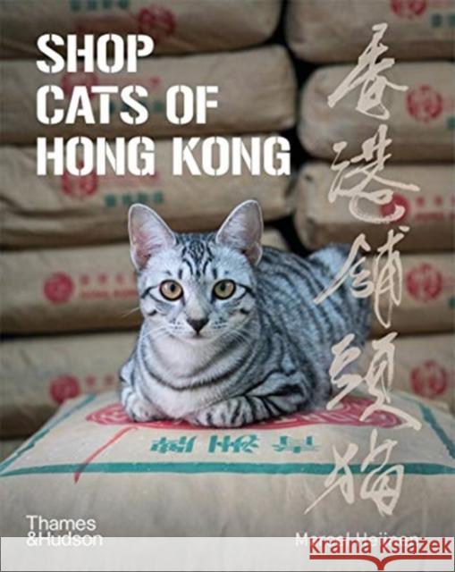 Shop Cats of Hong Kong Marcel Heijnen Catharine Nicol Ian Row 9780500296233 Thames & Hudson Ltd