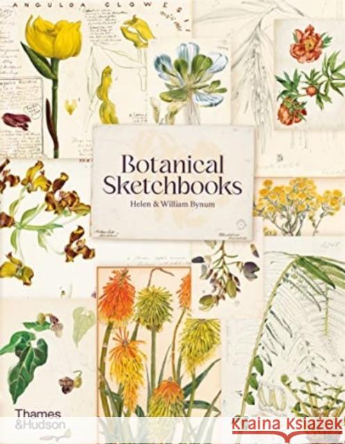 Botanical Sketchbooks William Bynum 9780500297186 Thames & Hudson Ltd