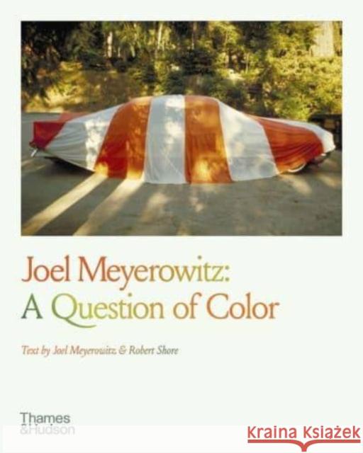 Joel Meyerowitz: A Question of Color  9780500297896 Thames & Hudson Ltd
