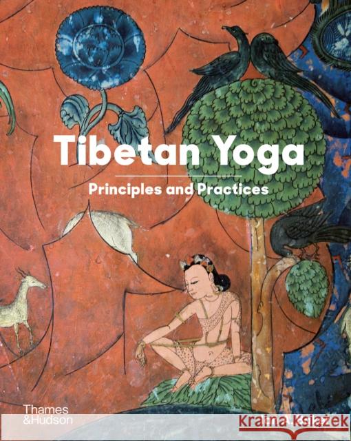Tibetan Yoga: Principles and Practices Ian A Baker 9780500298664 Thames & Hudson Ltd