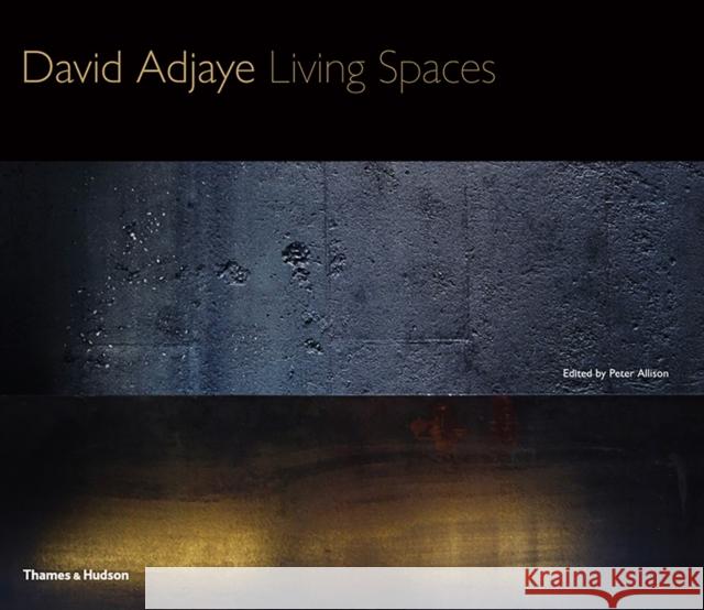 David Adjaye: Living Spaces David Adjaye Peter Allison 9780500343258 Thames & Hudson