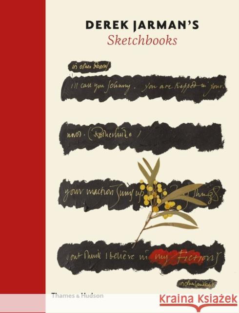 Derek Jarman's Sketchbooks Ed Webb-Ingall 9780500516942 Thames & Hudson Ltd