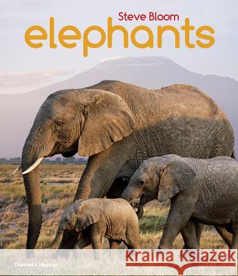 Elephants: A Book for Children Steve Bloom 9780500650554 