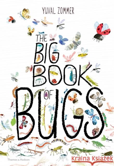 The Big Book of Bugs Zommer, Yuval 9780500650677 Thames & Hudson Ltd