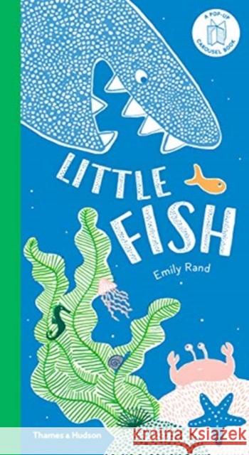 Little Fish: A Carousel Book  9780500651629 Thames & Hudson