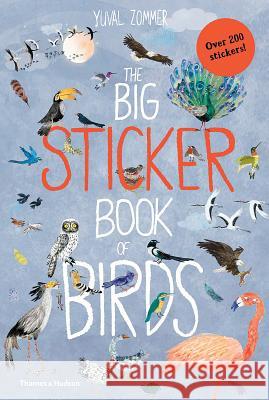 Big Sticker Book of Birds Yuval Zommer 9780500652008 