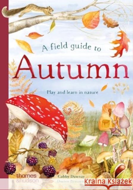 A Field Guide to Autumn: Play and learn in nature Gabby Dawnay 9780500653524