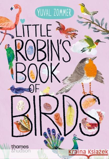 Little Robin's Book of Birds Zommer, Yuval 9780500653739