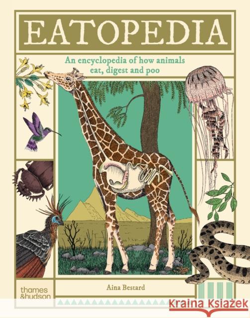 Eatopedia: An encyclopedia of how animals eat, digest and poo Aina Bestard 9780500653869