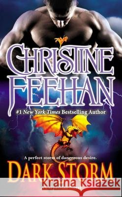 Dark Storm Feehan, Christine 9780515151565 Jove Books