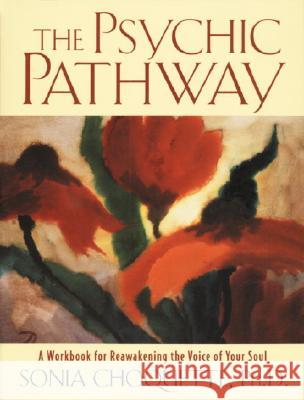 The Psychic Pathway: A Workbook for Reawakening the Voice of Your Soul Sonia Choquette 9780517884072 