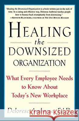 Healing the Downsized Organization: What Every Employee Needs to Know about Today's New Workplace Delorese Ambrose 9780517887127 Three Rivers Press (CA)