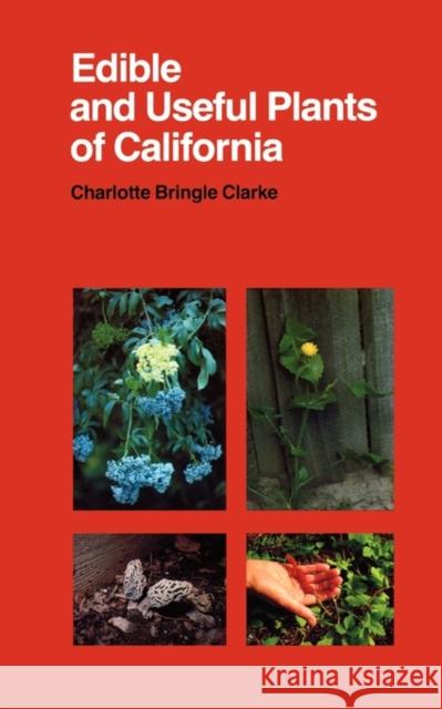 Edible and Useful Plants of California Charlotte Bringle Clarke 9780520032675 