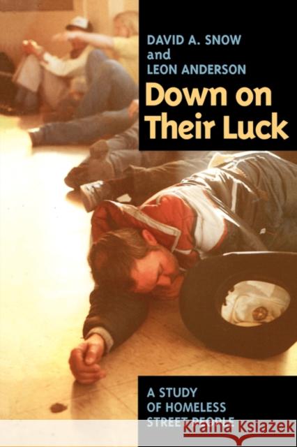 Down on Their Luck: A Study of Homeless Street People Snow, David A. 9780520079892