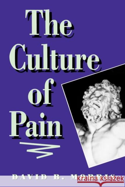 The Culture of Pain David B. Morris Morris 9780520082762 University of California Press