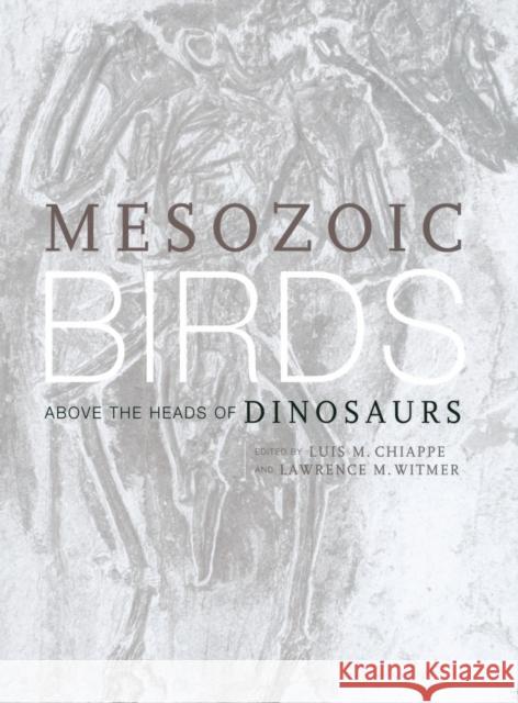 Mesozoic Birds: Above the Heads of Dinosaurs Chiappe, Luis M. 9780520200944 University of California Press