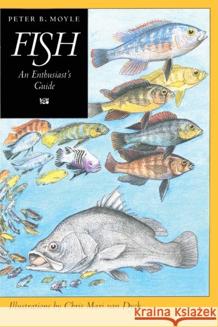Fish: An Enthusiast's Guide Moyle, Peter B. 9780520201651 University of California Press