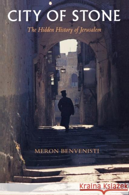 City of Stone: The Hidden History of Jerusalem Benvenisti, Meron 9780520207684 University of California Press
