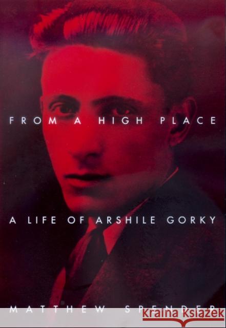 From a High Place: A Life of Arshile Gorky Spender, Matthew 9780520225480 University of California Press