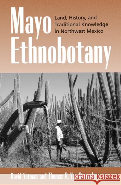 Mayo Ethnobotany: Land, History, and Traditional Knowledge in Northwest Mexico Yetman, David 9780520227217 University of California Press