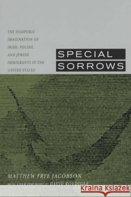 Special Sorrows: The Diasporic Imagination of Irish, Polish, and Jewish Immigrants in the United States Jacobson, Matthew Frye 9780520233423