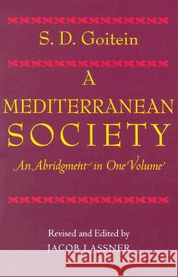 A Mediterranean Society, an Abridgment in One Volume Goitein, S. D. 9780520240599 University of California Press
