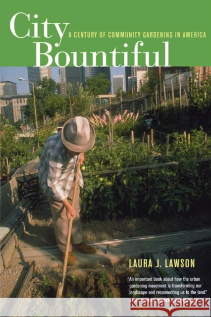 City Bountiful : A Century of Community Gardening in America Laura J. Lawson 9780520243439 