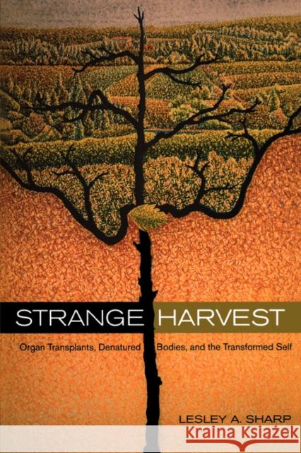 Strange Harvest: Organ Transplants, Denatured Bodies, and the Transformed Self Sharp, Lesley A. 9780520247864 University of California Press