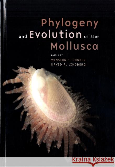 Phylogeny and Evolution of the Mollusca Winston Ponder David R. Lindberg W. F. Ponder 9780520250925