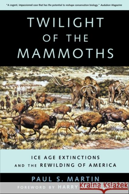Twilight of the Mammoths: Ice Age Extinctions and the Rewilding of Americavolume 8 Martin, Paul S. 9780520252431
