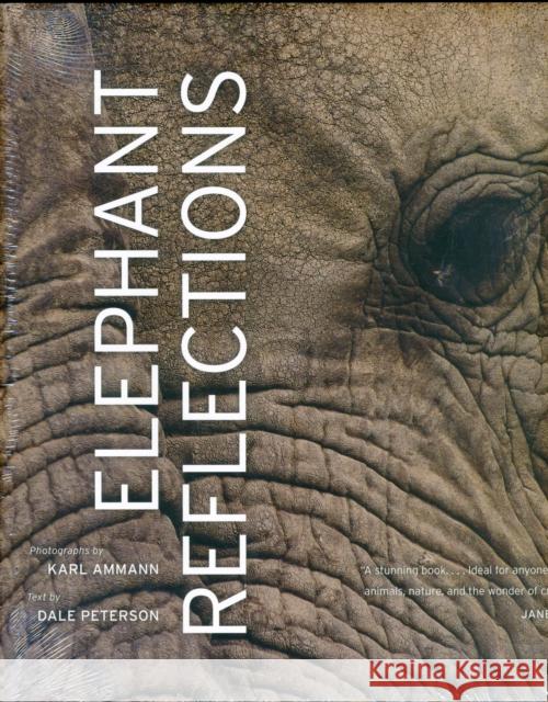 Elephant Reflections Dale Peterson Karl Ammann Karl Ammann 9780520253773 University of California Press